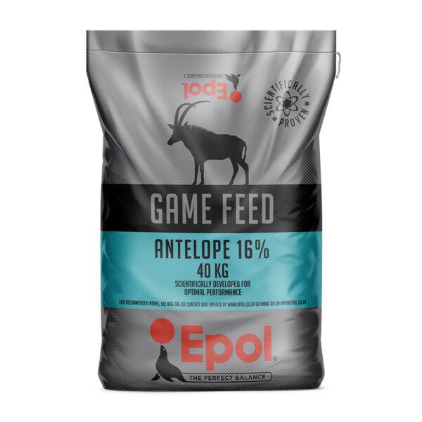 Epol Antelope