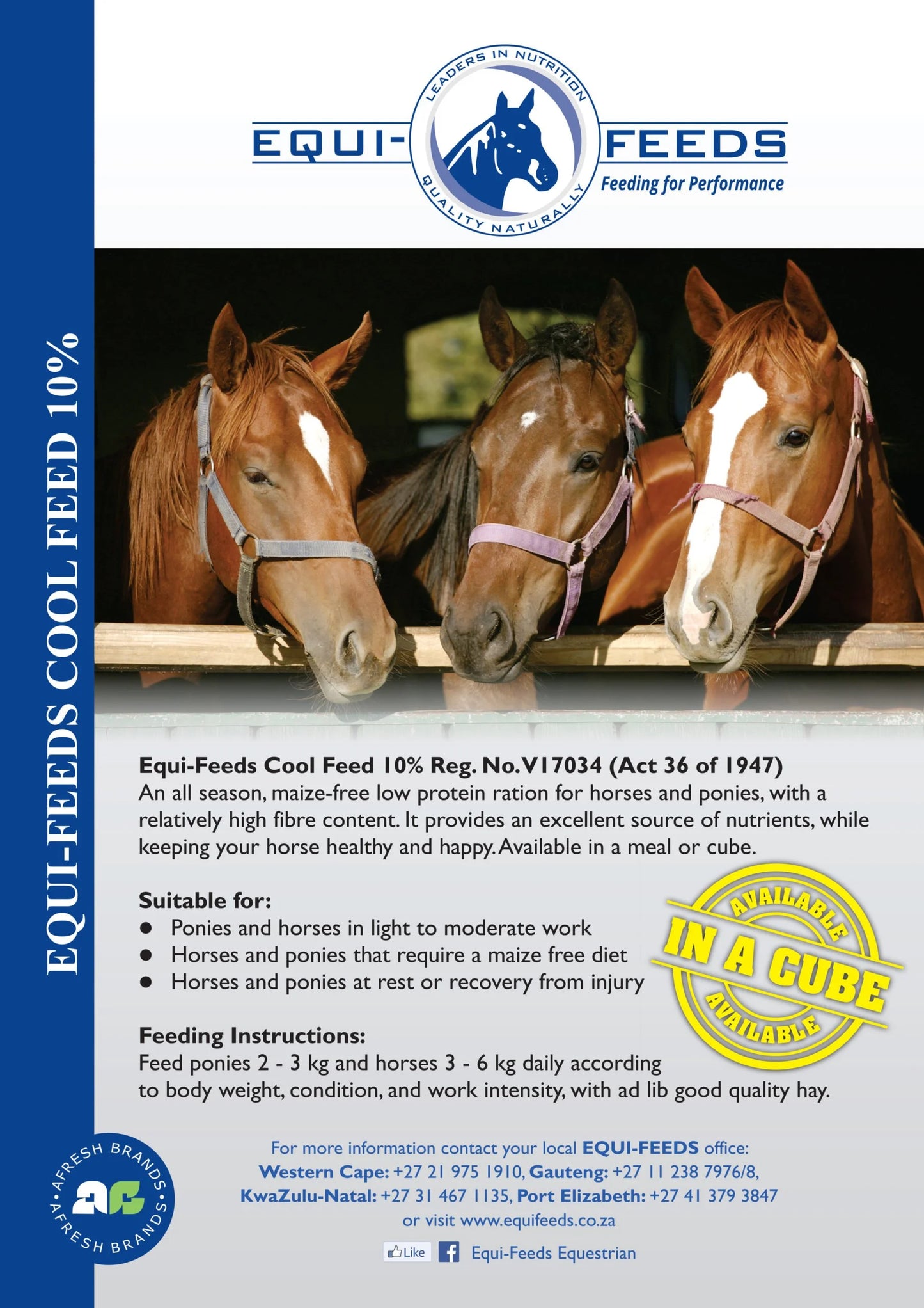Equi-Feeds Cool Feed 10% (Pellet)