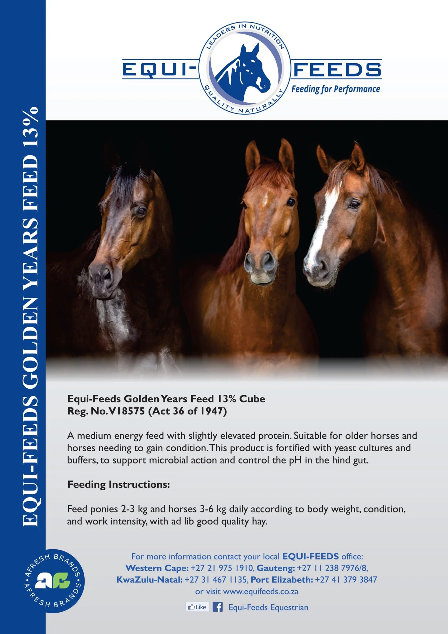 Equi-Feeds Golden Years Feed 13% (Pellet)