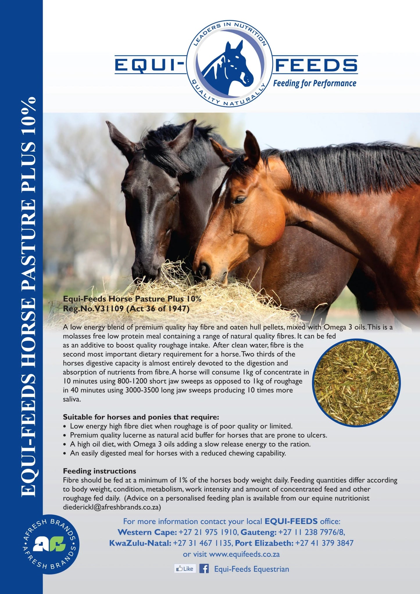 Equi-Feeds Horse Pasture Plus
