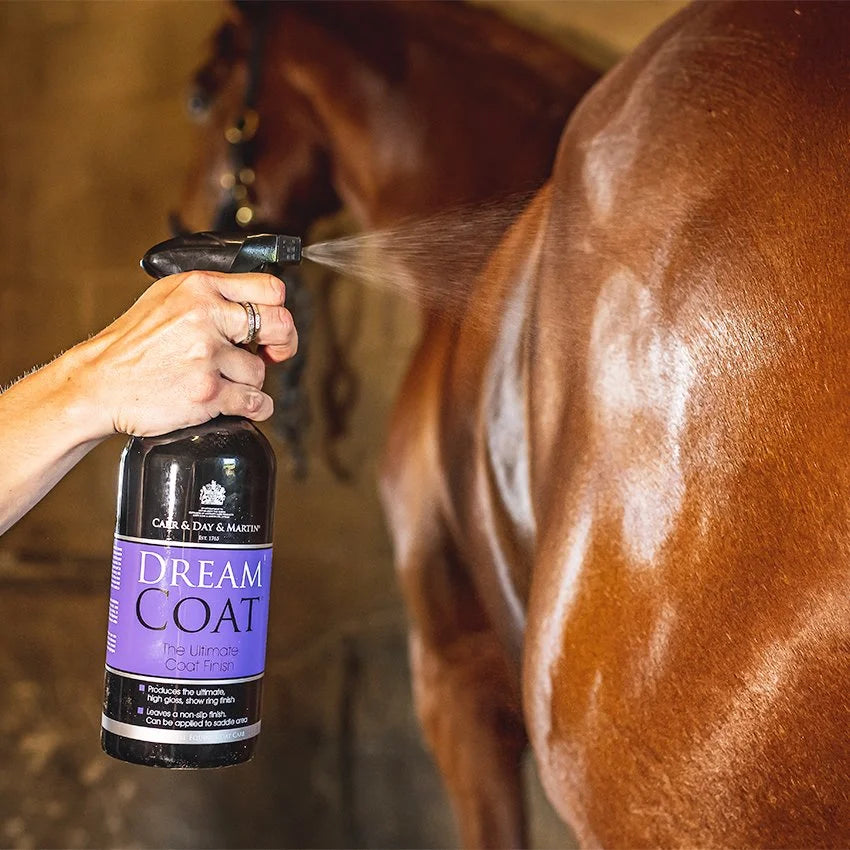 Carr & Day Martin Dreamcoat