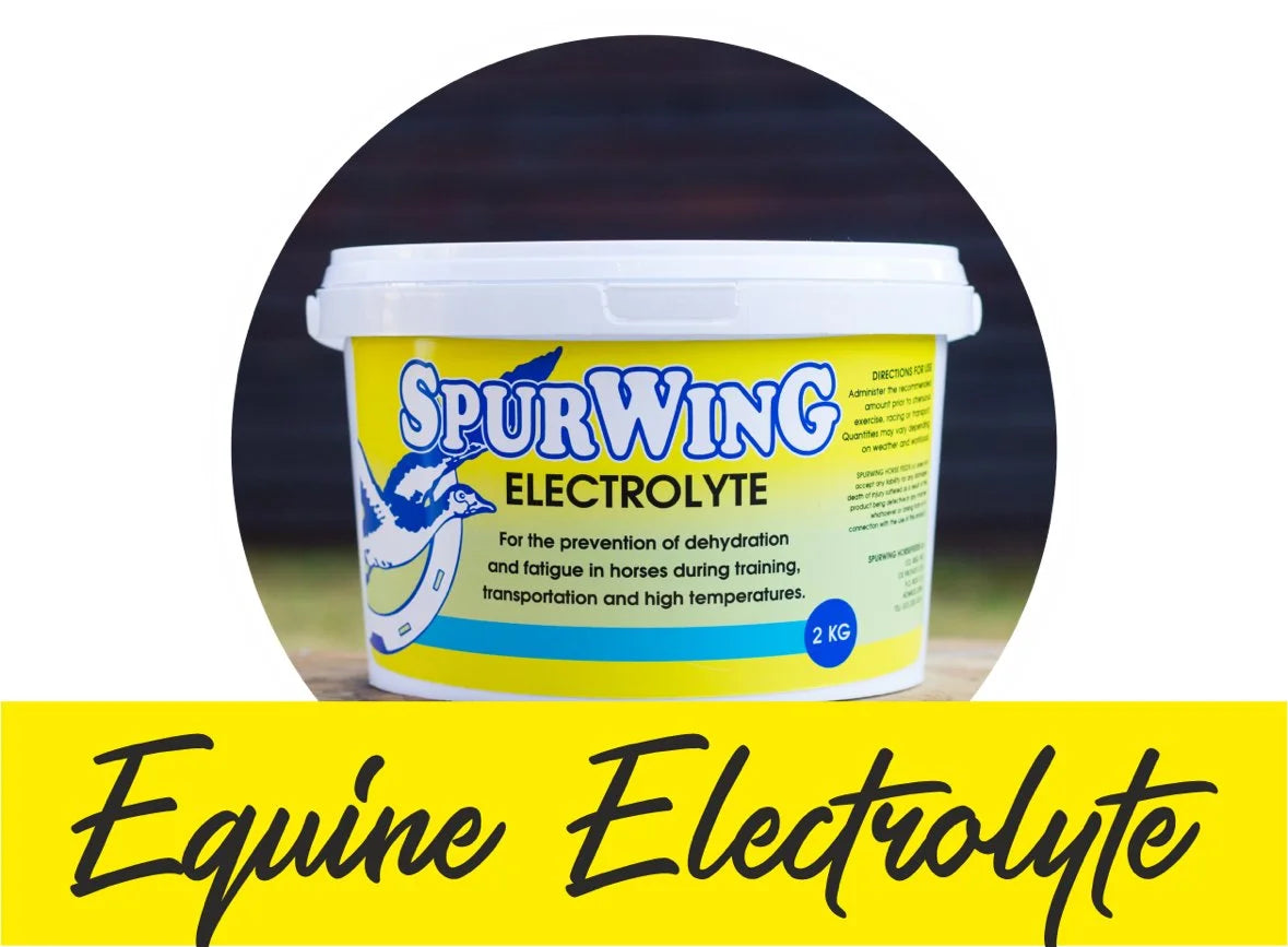 Spurwing Equine Electrolyte 2kg
