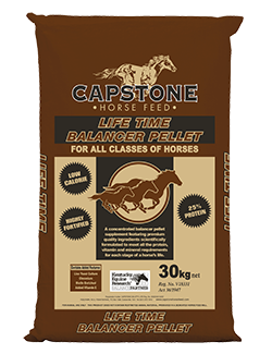 Capstone Life Time Balancer