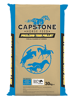 Capstone Prolong Time