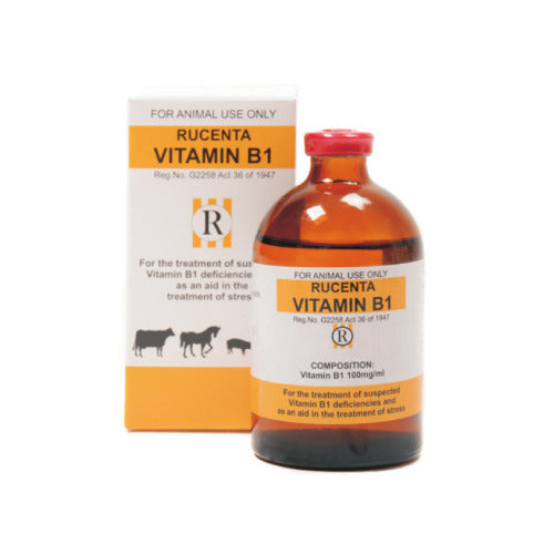 Rucenta Vitamin B1 100ml