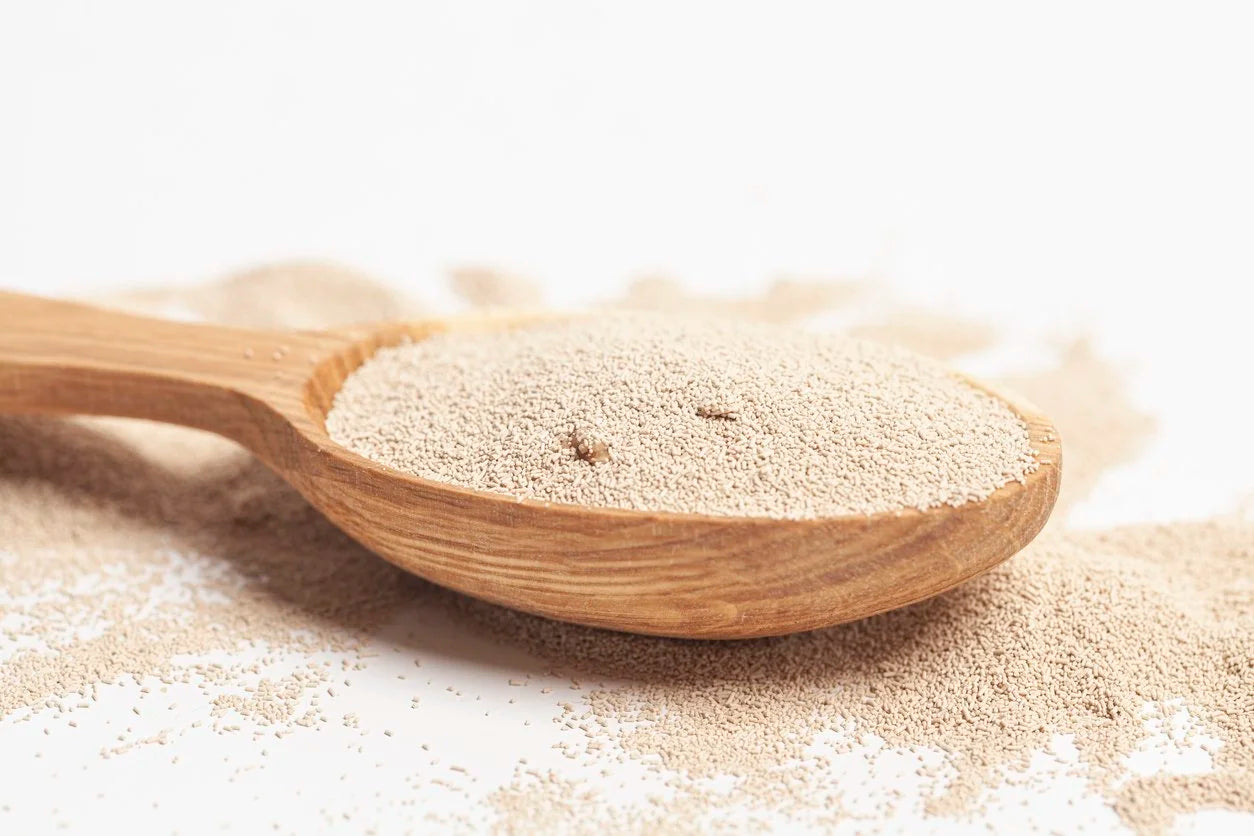 AHFS Brewers Yeast