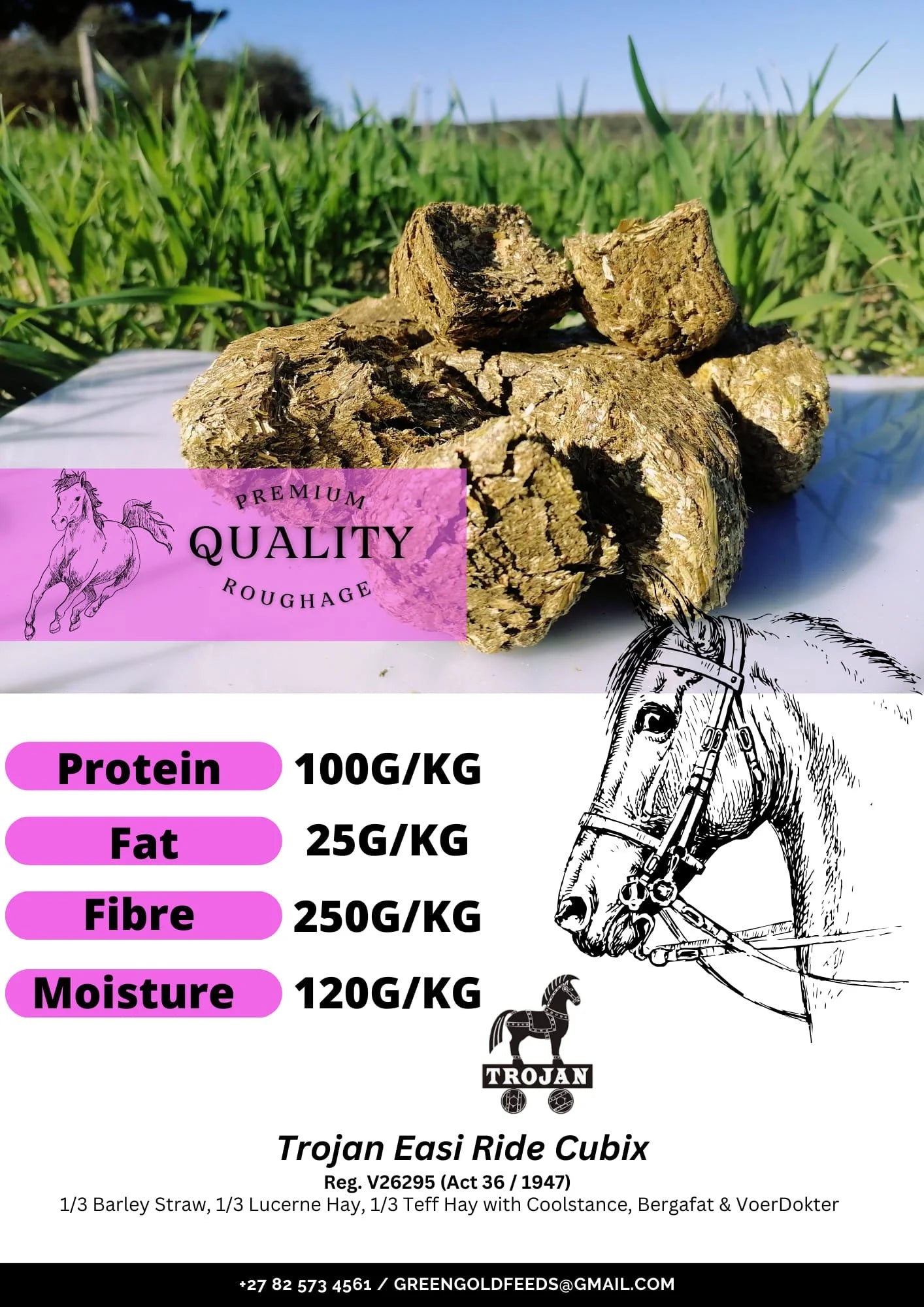 Trojan Easi Ride Cubix