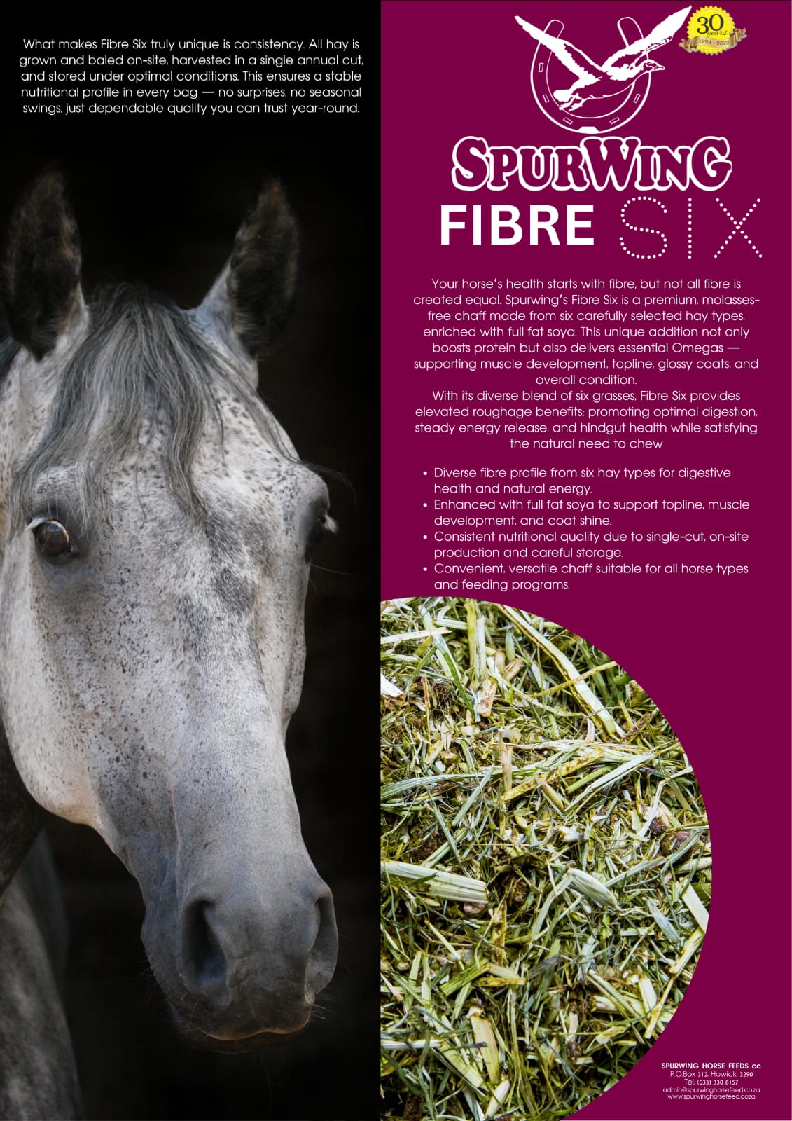Spurwing Fibre six