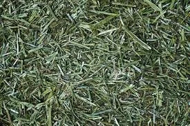 Lucerne Chaff