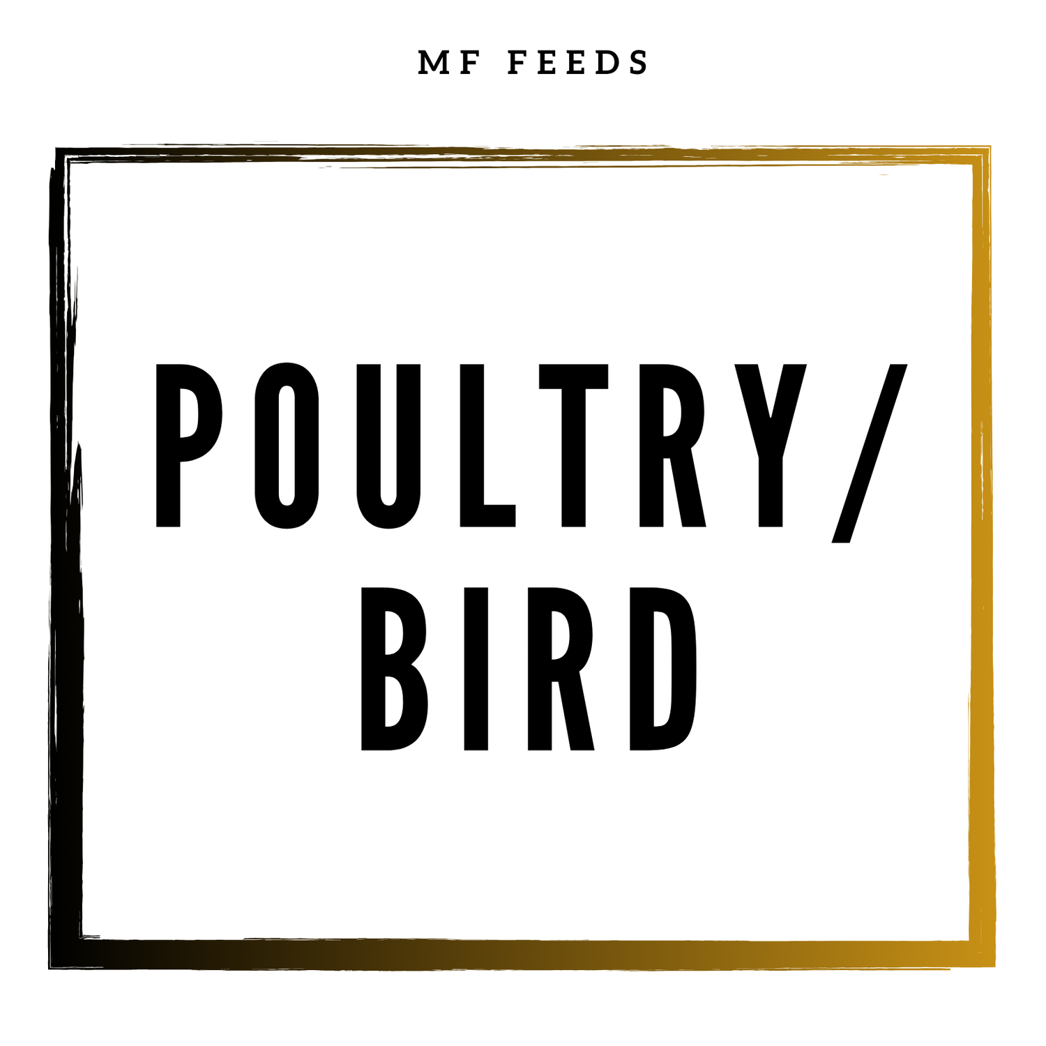 Poultry / Birds