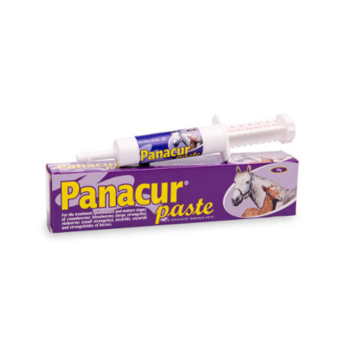 Panacur Horse Paste 24G