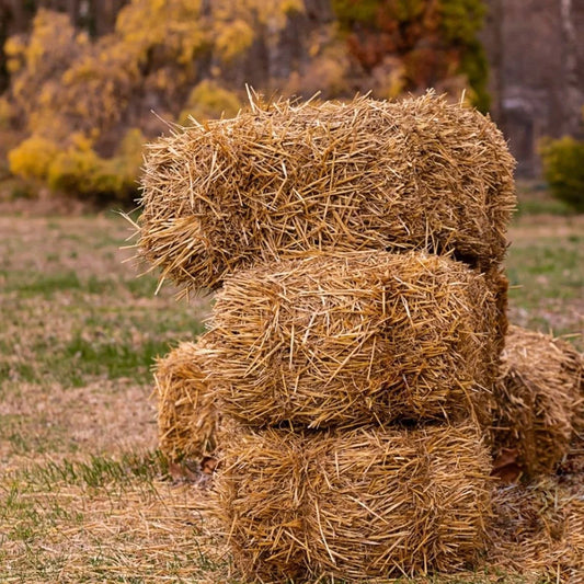 Staw Square Bale