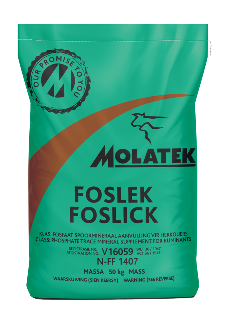Molatek Foslick