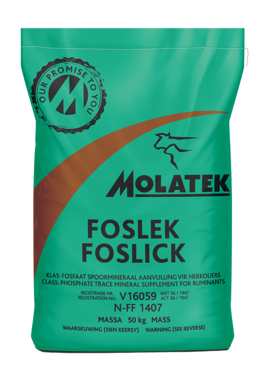 Molatek Foslick
