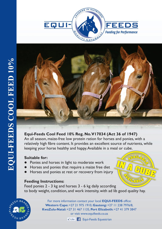 Equi-Feeds Cool Feed 10% (Meal)
