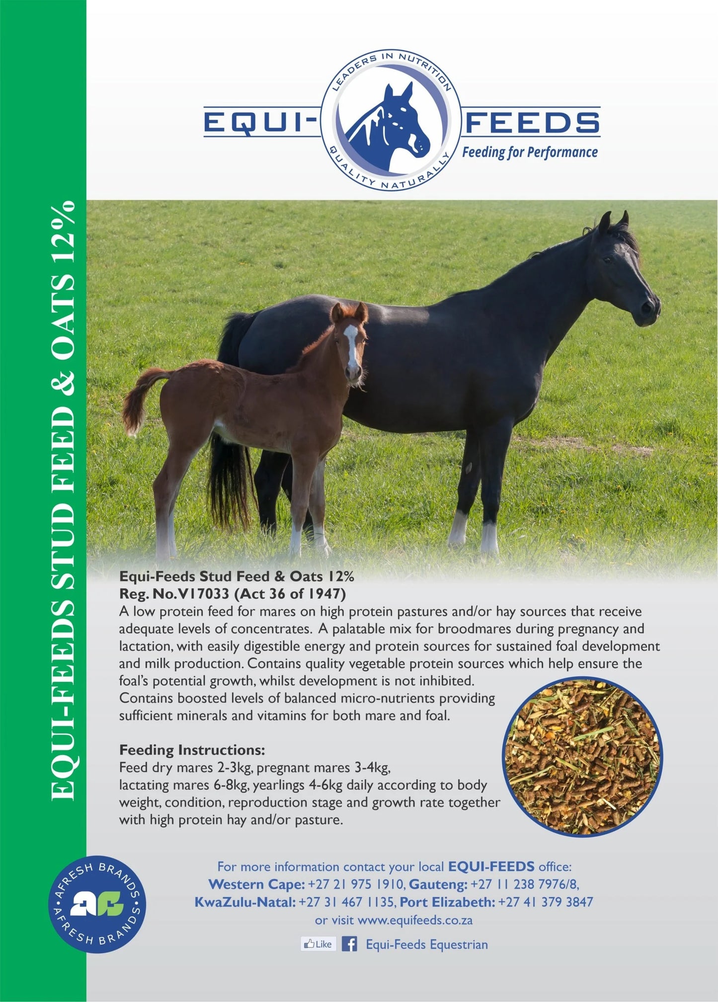 Equi-Feeds Stud Feed & Oats 12% (Meal)