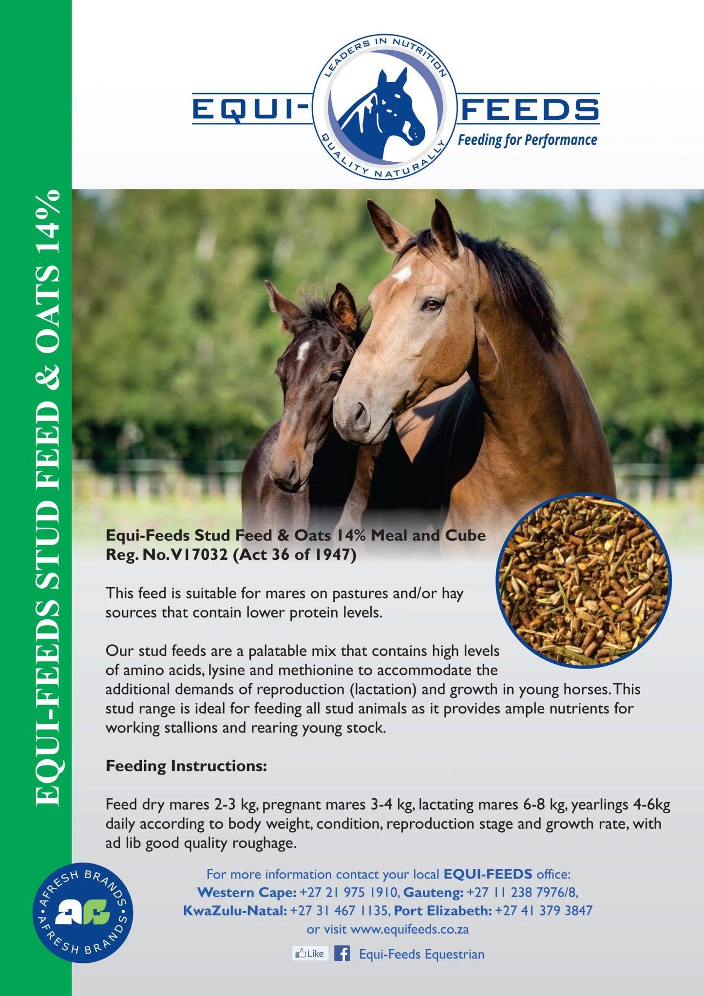 Equi-Feeds Stud Feed & Oats 14% (Pellet)