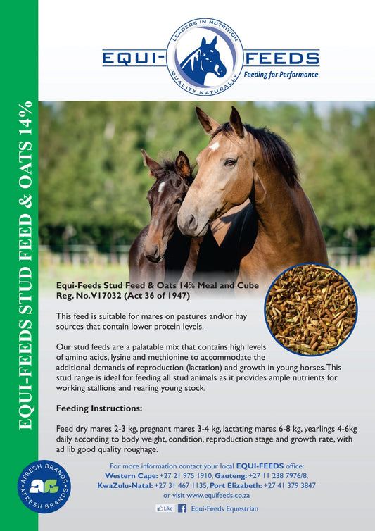Equi-Feeds Stud Feed & Oats 14% (Pellet)