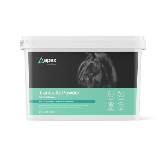 Apex Tranquilo Powder