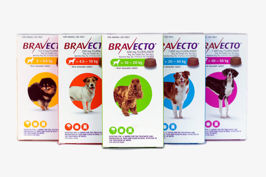 Bravecto tick & flea for dogs