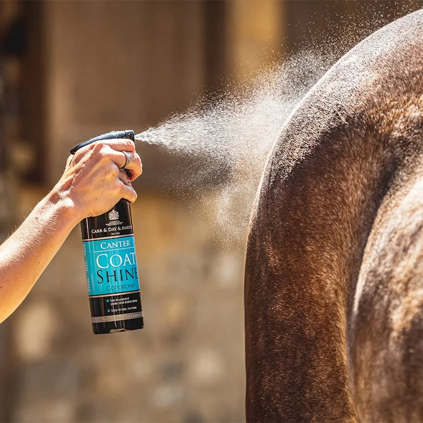 Carr & Day Martin Coat Shine Conditioner