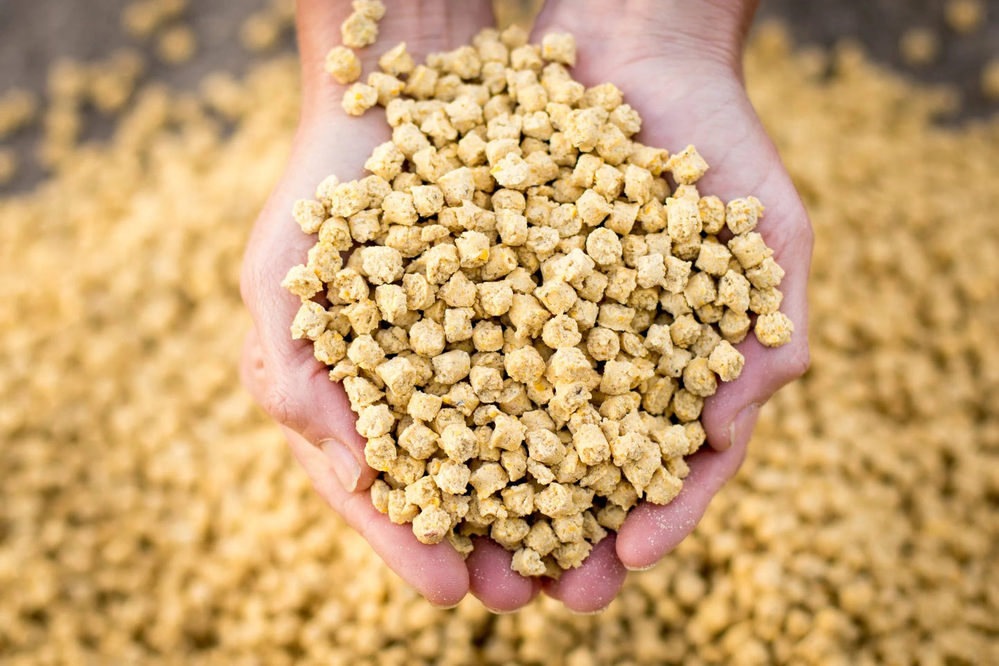 Spurwing Conditioning Supplement