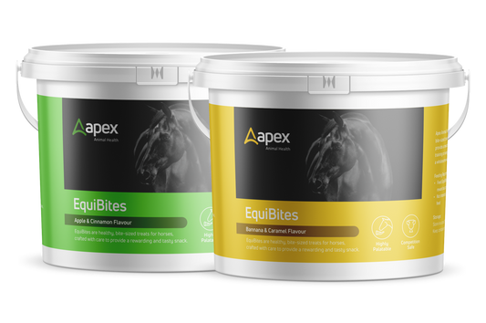 Apex EquiBites