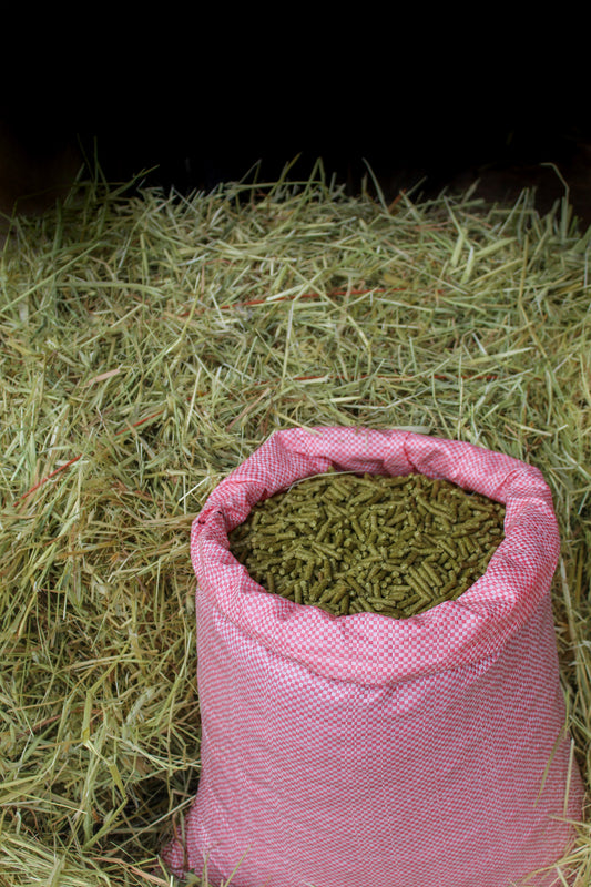Oat Hay Pellets 20kg