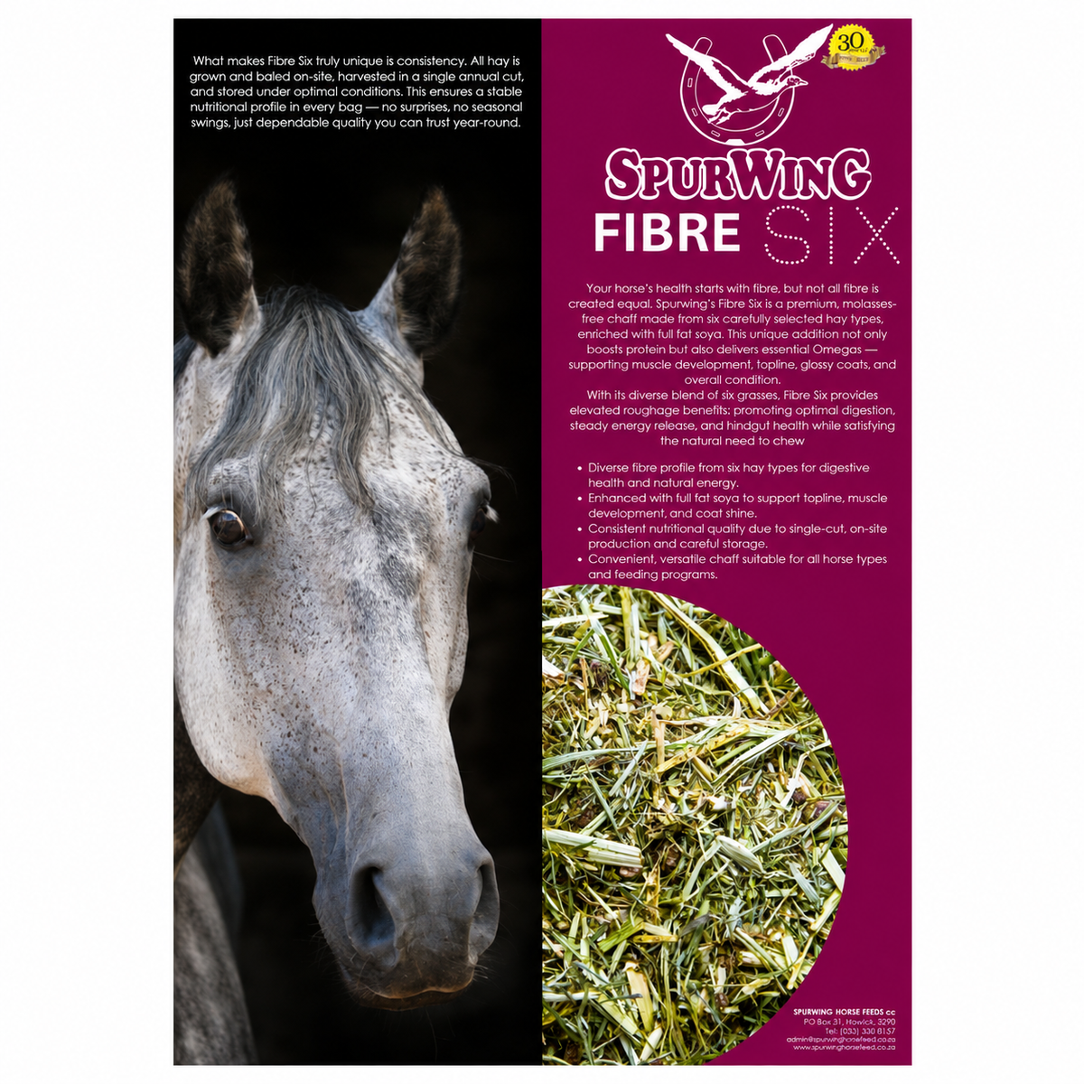Spurwing Fibre six