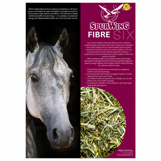 Spurwing Fibre six
