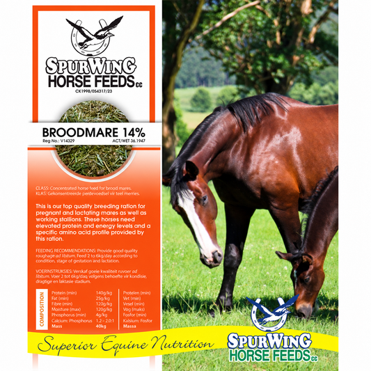 Spurwing Broodmare 14%
