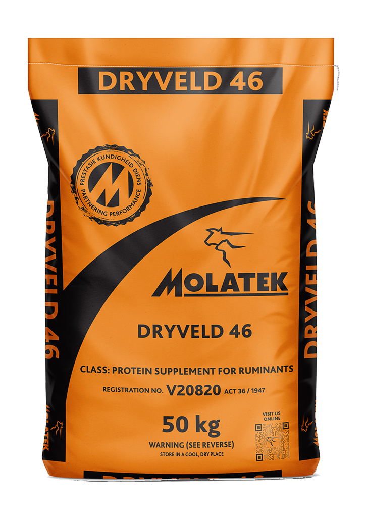 Molatek Dryveld 46