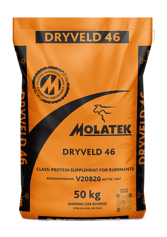 Molatek Dryveld 46
