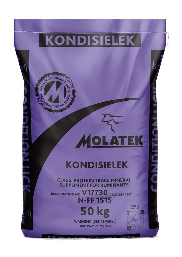 Molatek Condition Lick