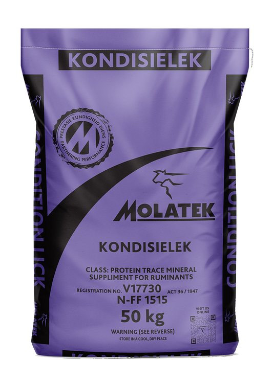 Molatek Condition Lick