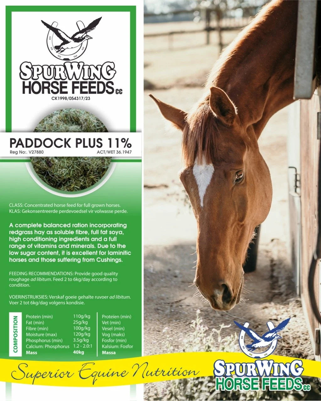 Spurwing Paddock plus 11%
