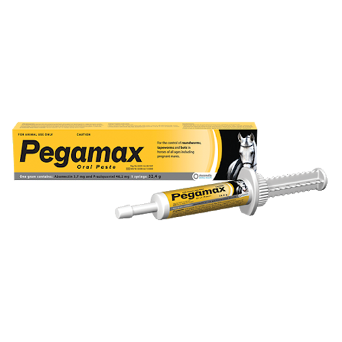 Pegamax Paste 32.4G