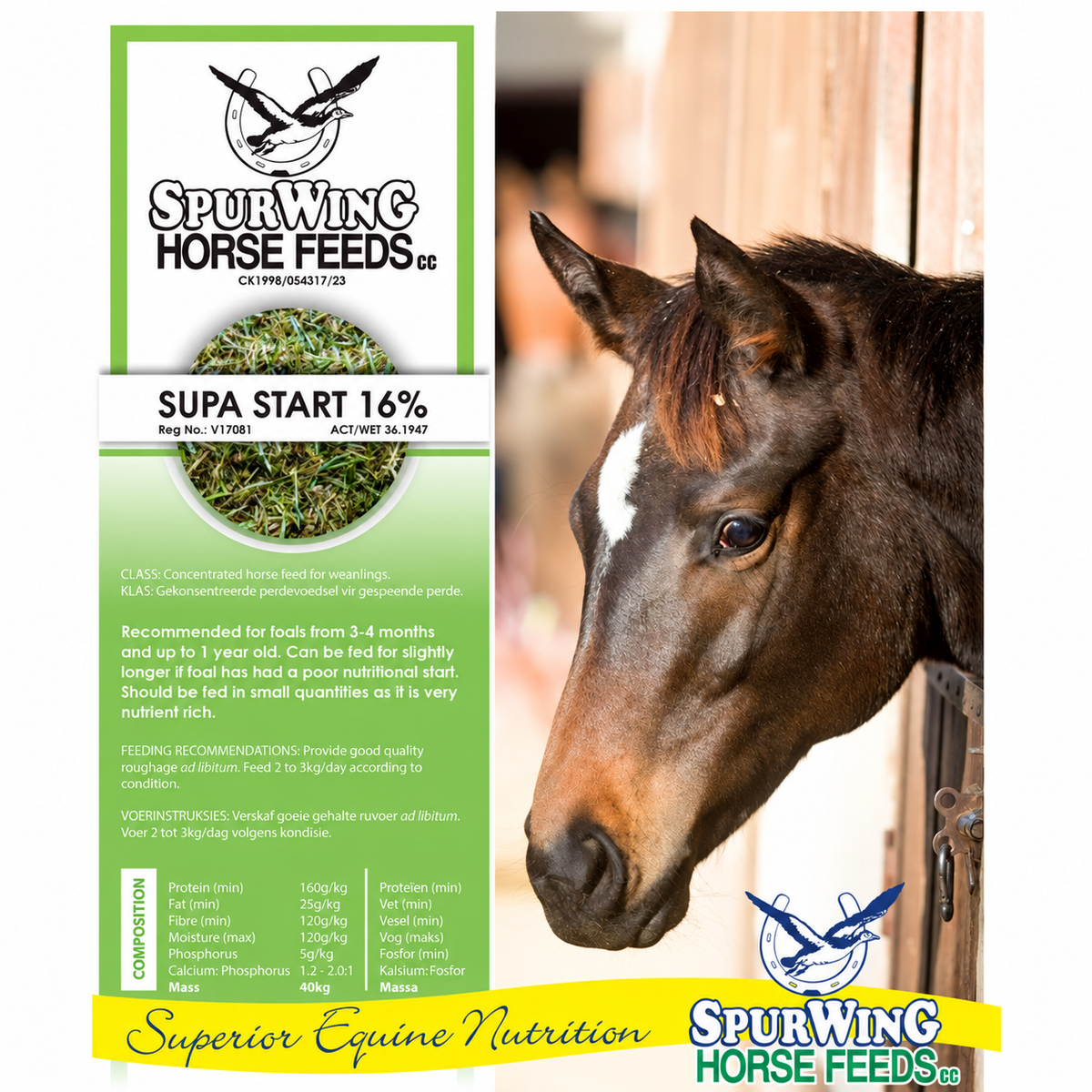 Spurwing Supa Start 16%