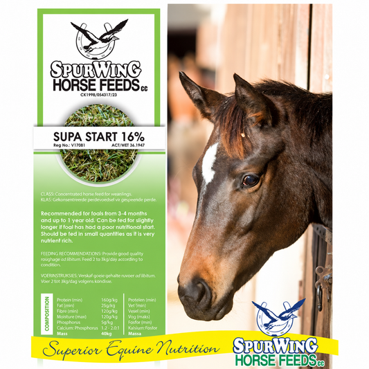 Spurwing Supa Start 16%