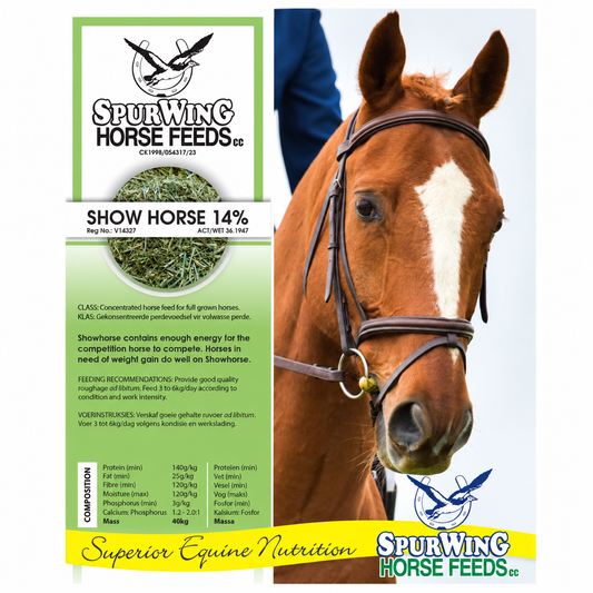 Spurwing Show Horse 14%