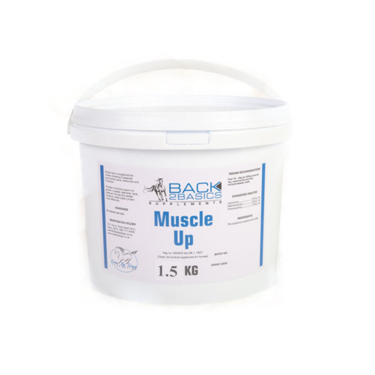 Back2Basics Muscle Up