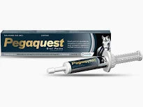 Pegaquest