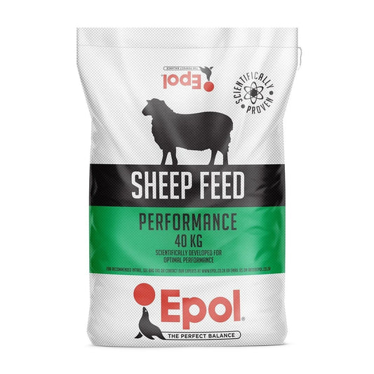 Epol Lamb & Ewe
