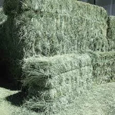 Teff Square Bales